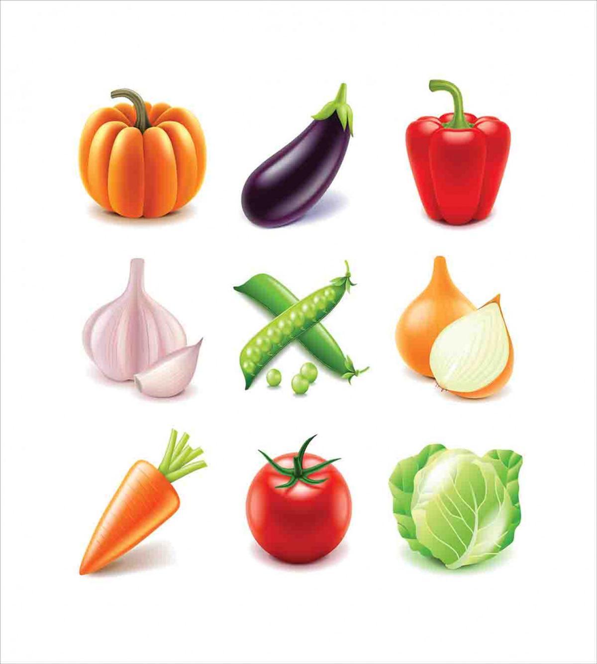 Organic Fresh Farm — Pattern