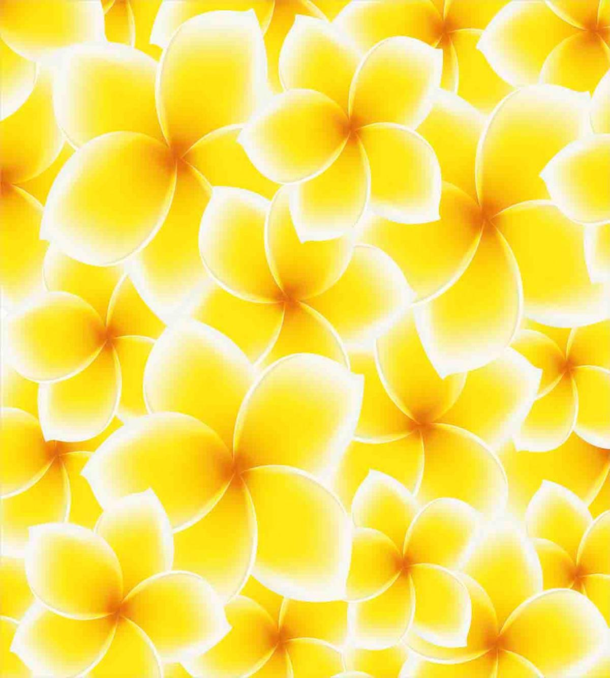Plumeria Flower Blossoms — Pattern