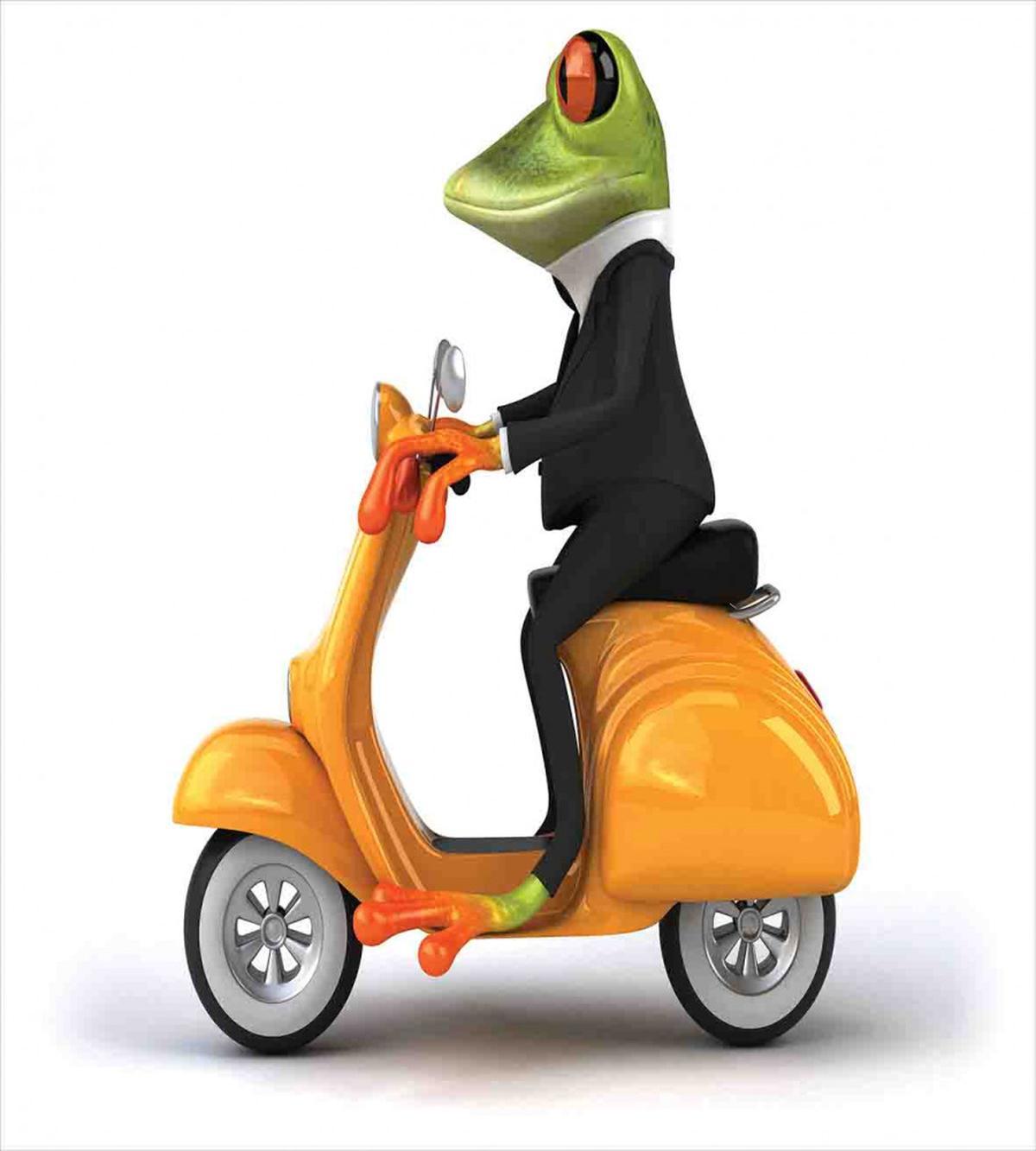 Italian Frog Motorcycle — Pattern