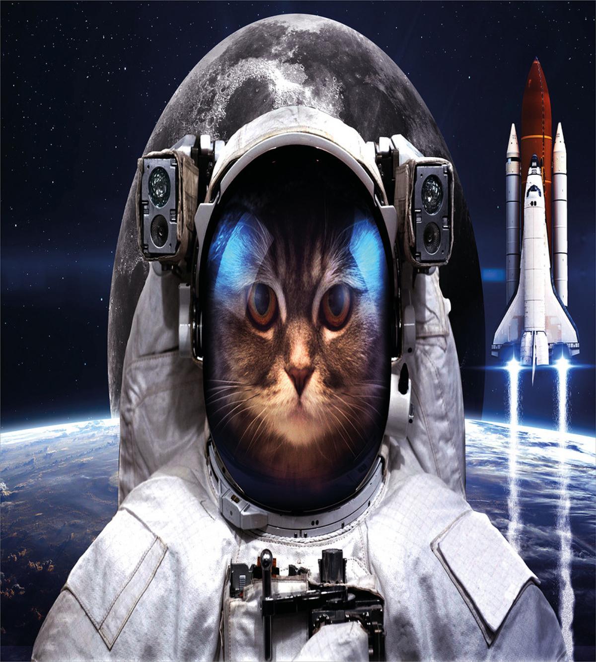 Space Traveller Pet — Pattern