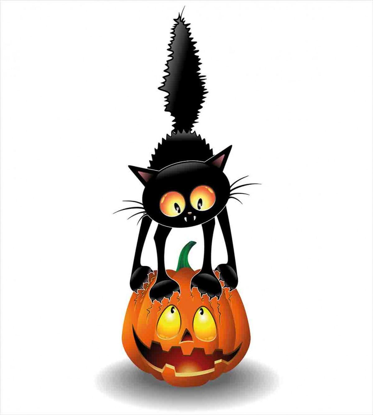 Cartoon Animal on Pumpkin — Pattern
