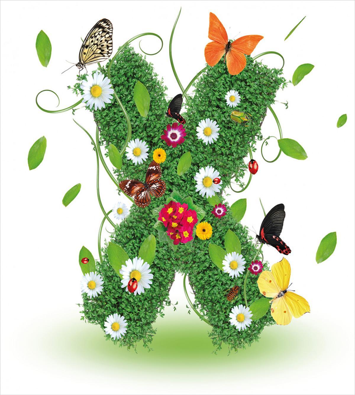 Spring Themed Alphabet — Pattern