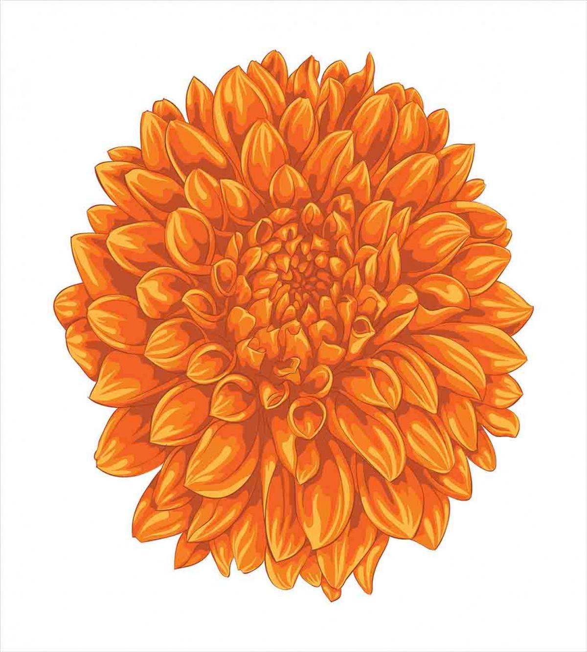 Dahlia Flower Floral — Pattern