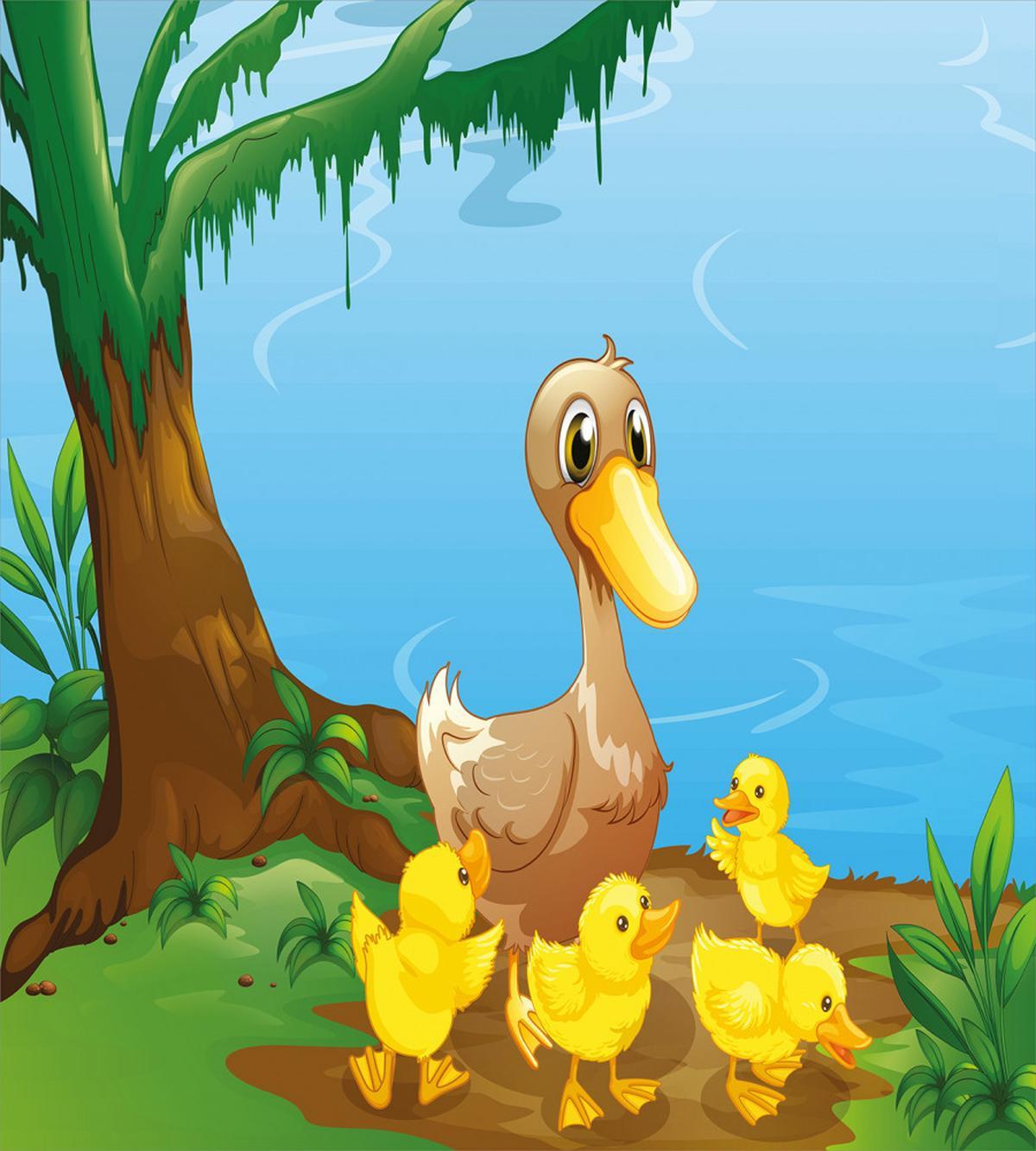 Duck and Ducklings — Pattern