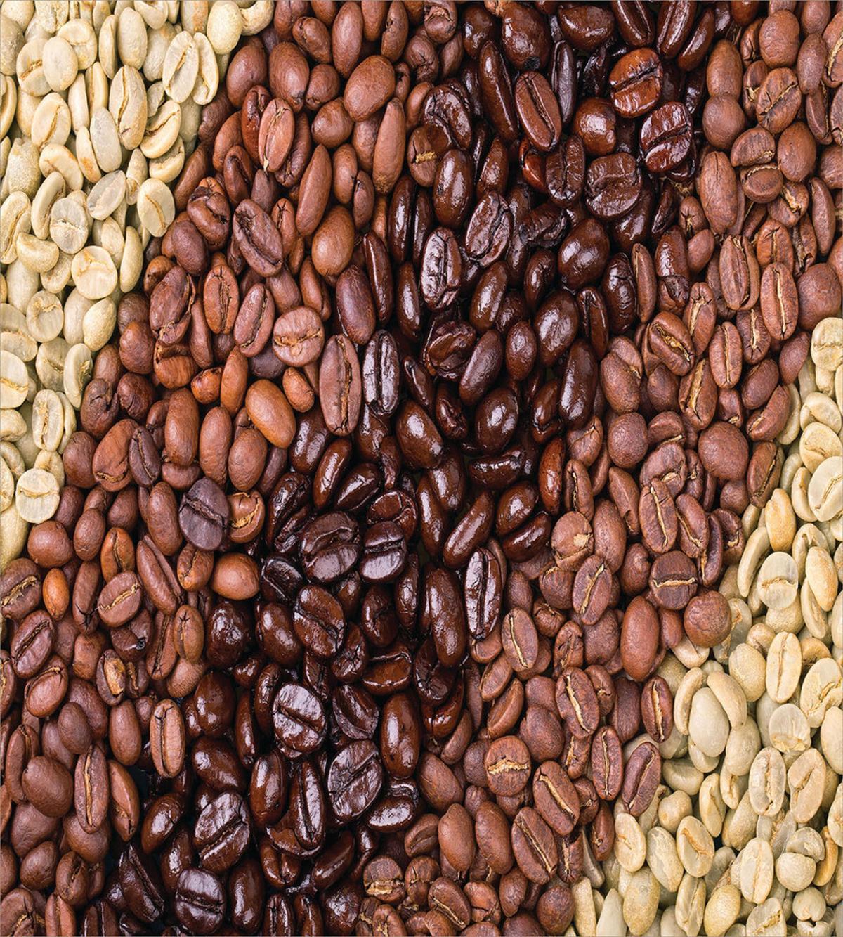 Coffee Beans Stripes — Pattern
