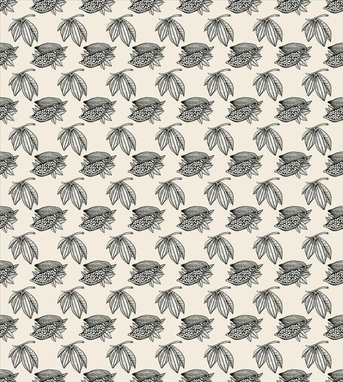 Raw Organic Cocoa Beans — Pattern