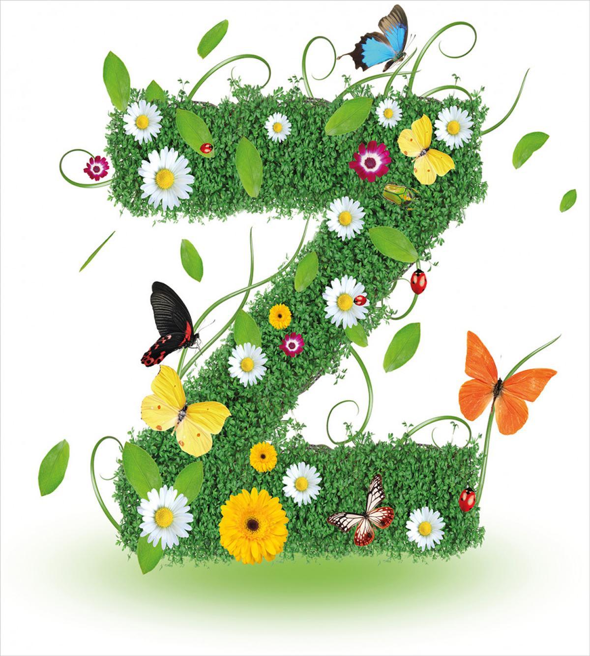 Fresh Summer Garden — Pattern