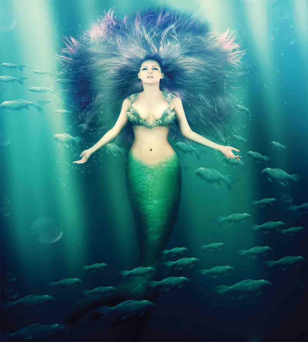 Underwater Life — Pattern