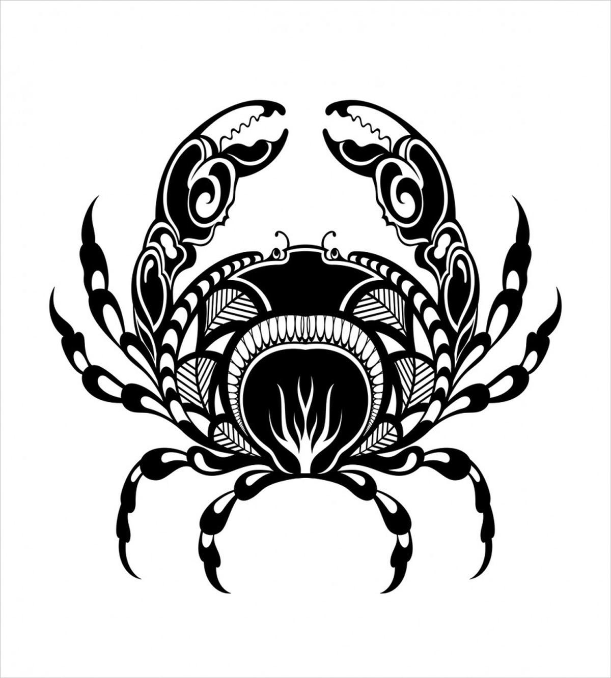 Aquatic Arthropod — Pattern