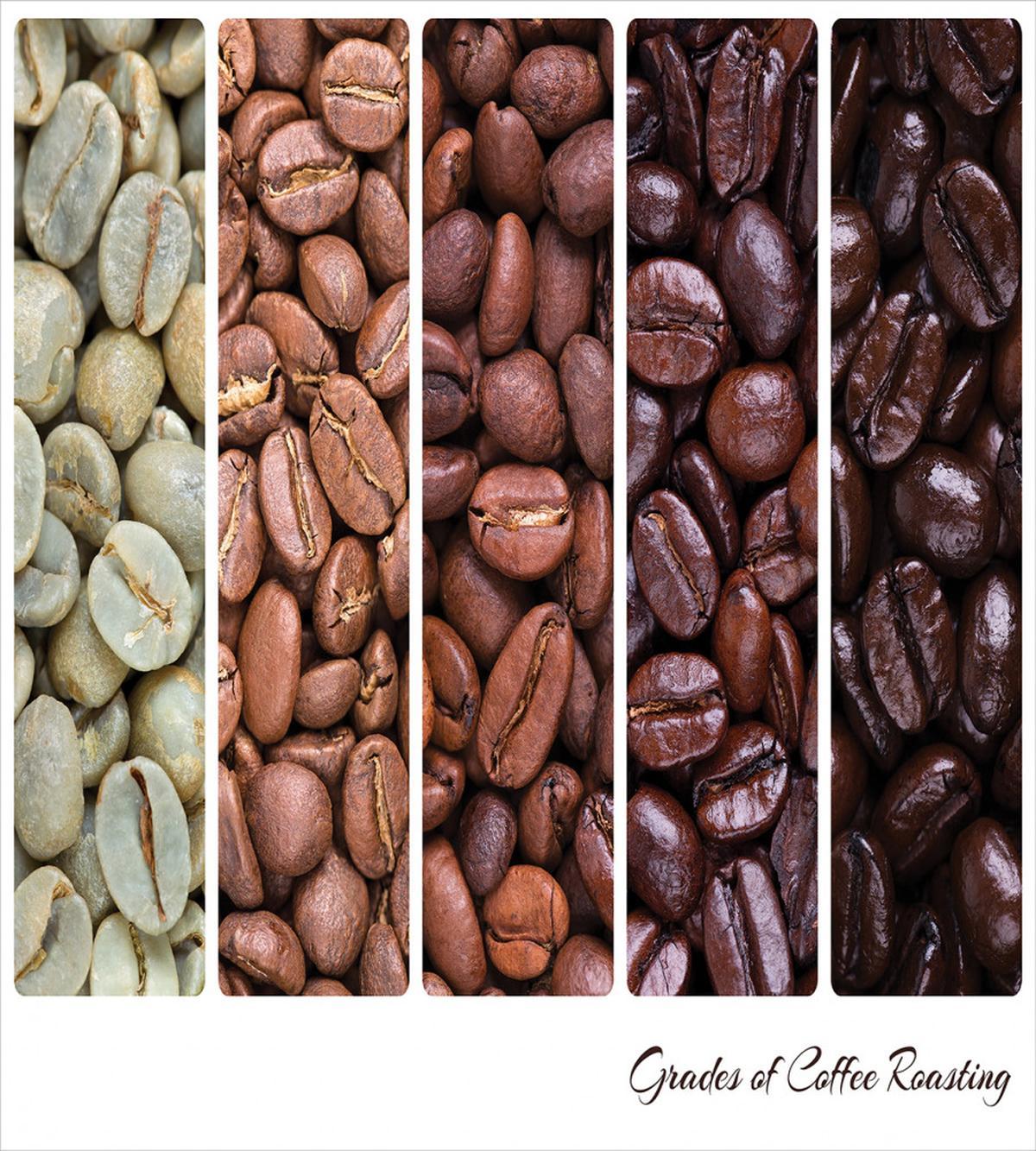 Banner Stages of Beans — Pattern