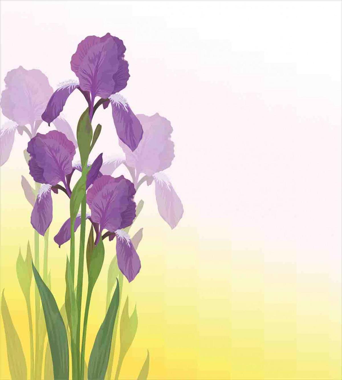 Iris Flowers Leaves — Pattern