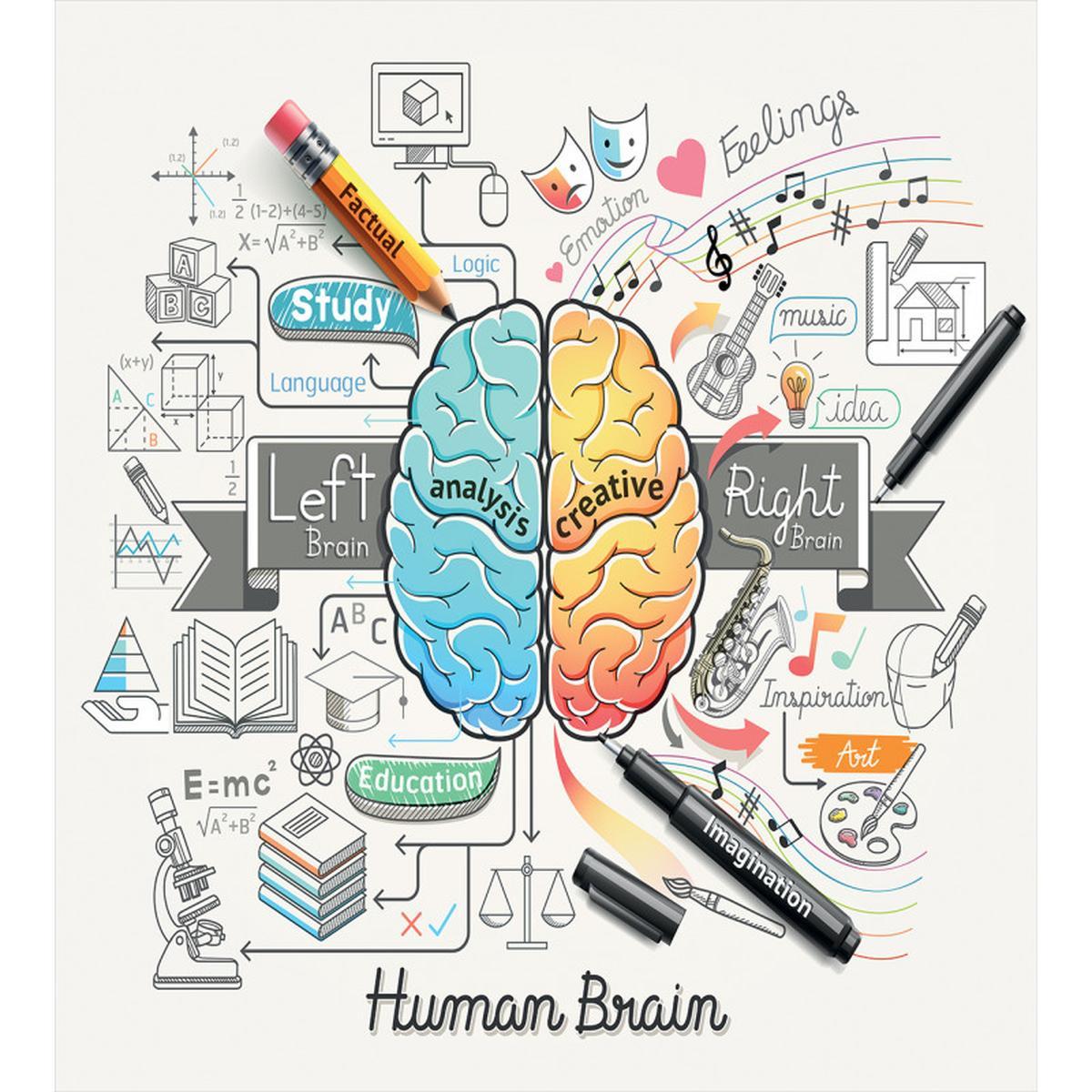 2 Sides of Brain — Pattern