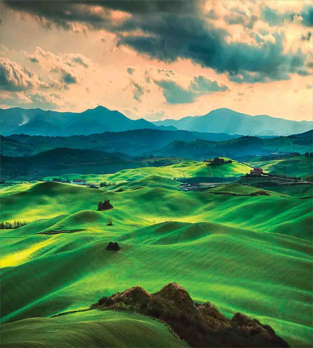 Tuscany Rolling Hills — Pattern