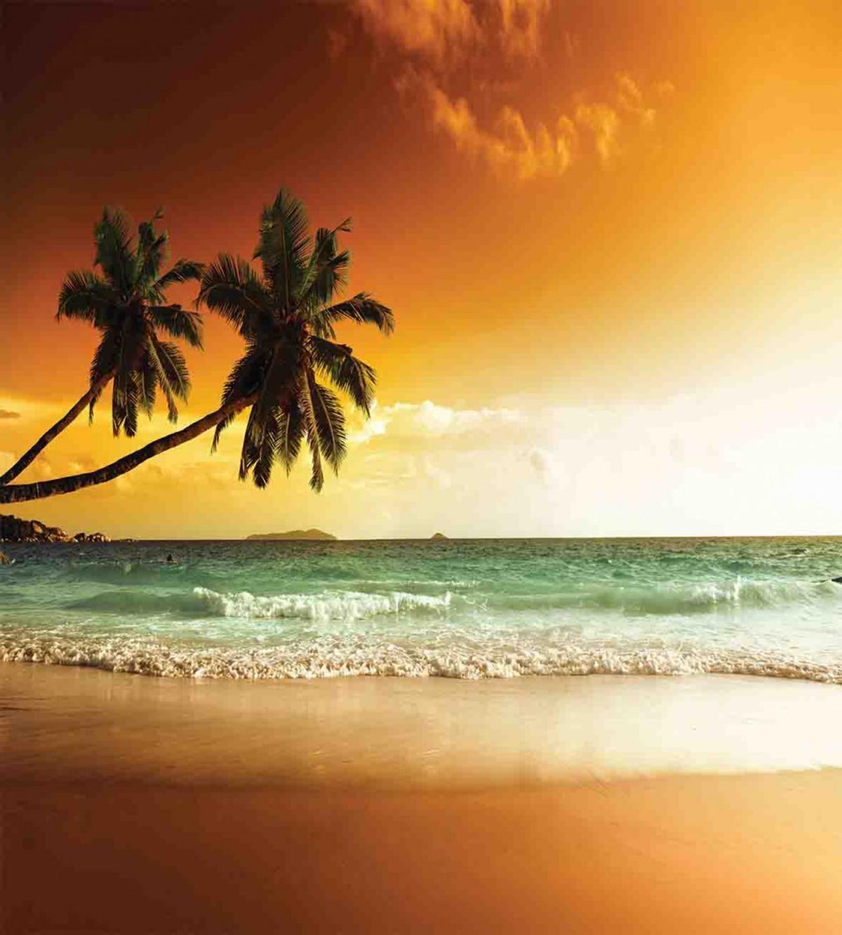 Palm Tree Exotic Beach — Pattern