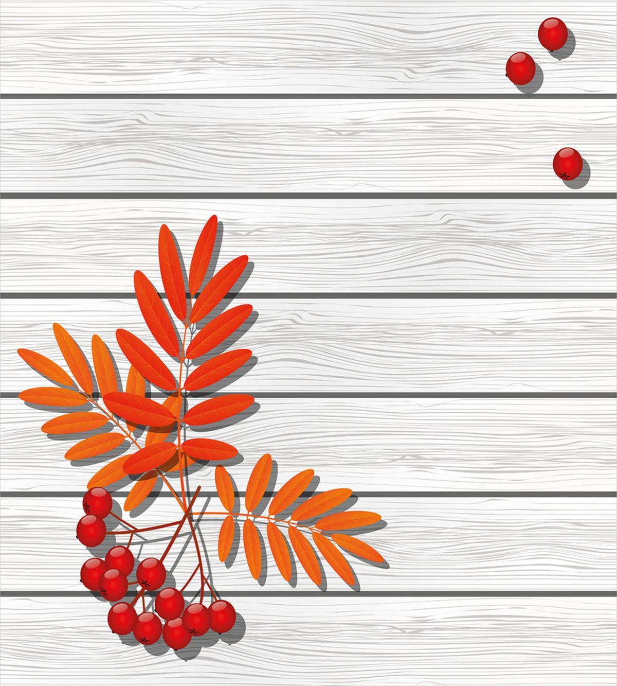 Freshness Growth Ecology — Pattern