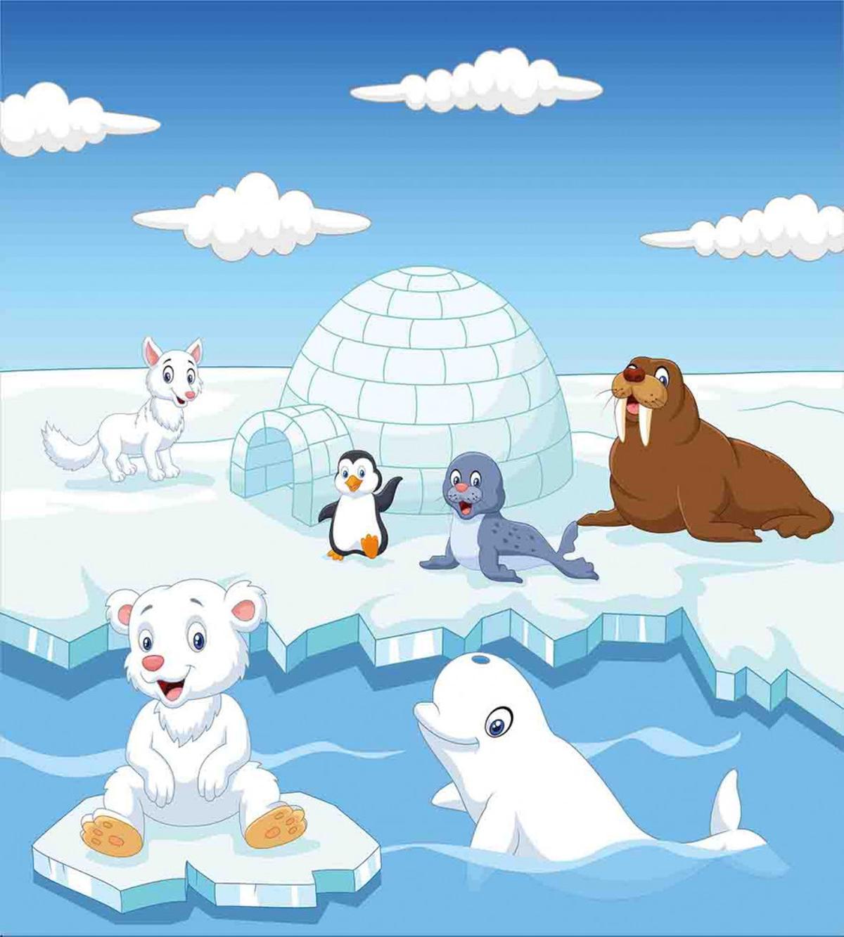 Polar Bears Seal Penguins — Pattern