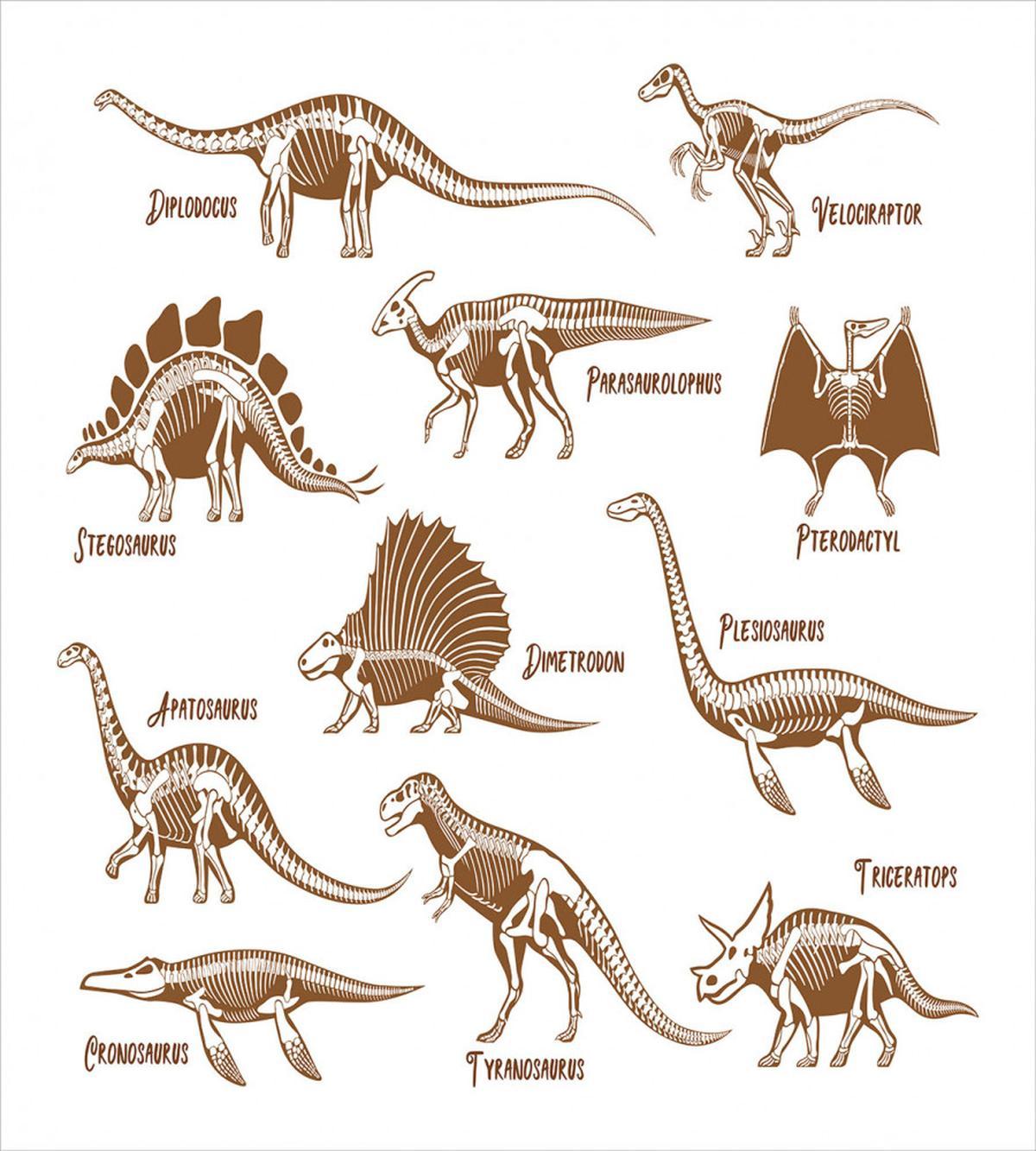 Reptile Dinos — Pattern