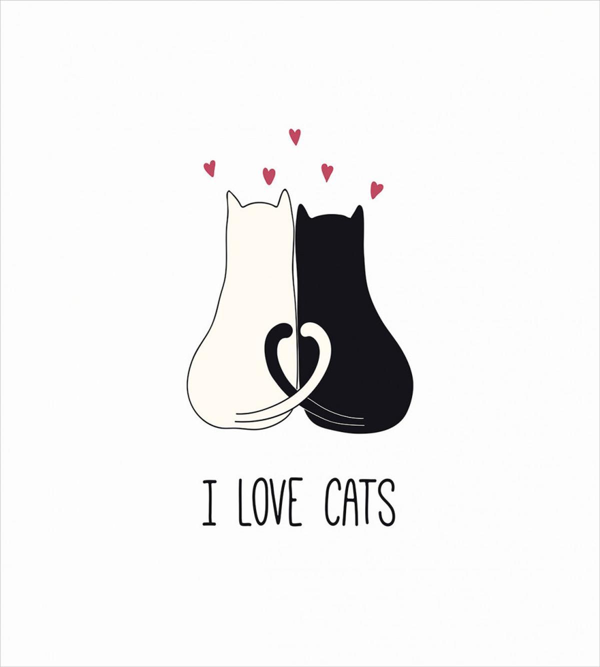 Ideal for Cat Lovers Cuddle — Pattern