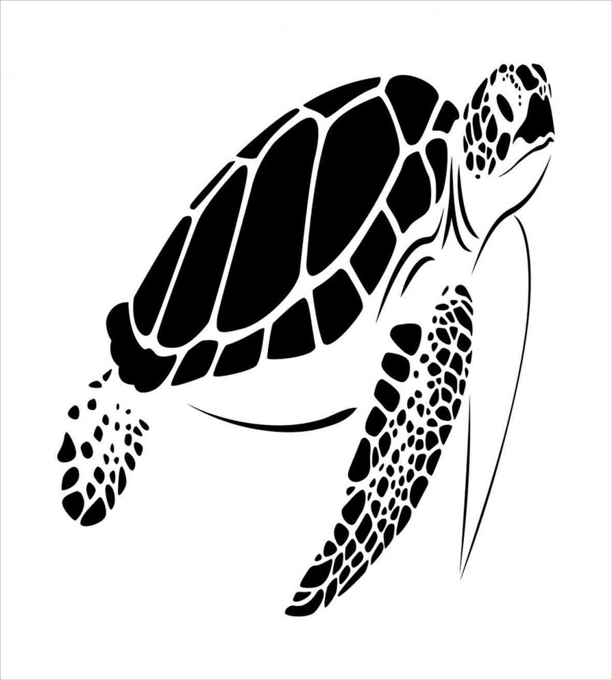Monotone Caretta Caretta — Pattern