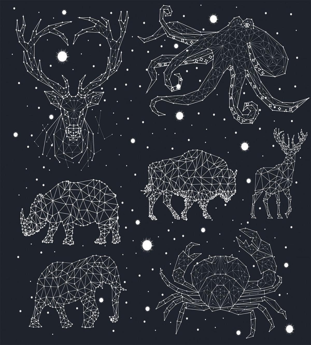 Constellation Signs — Pattern
