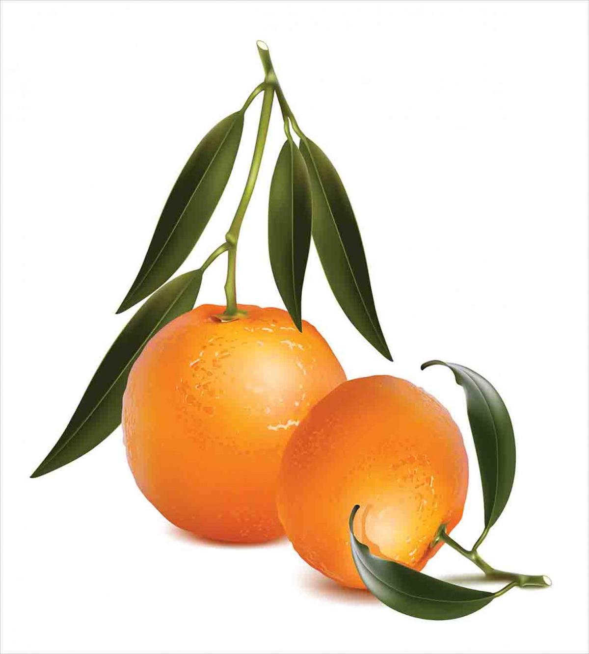 Fresh Tangerine — Pattern