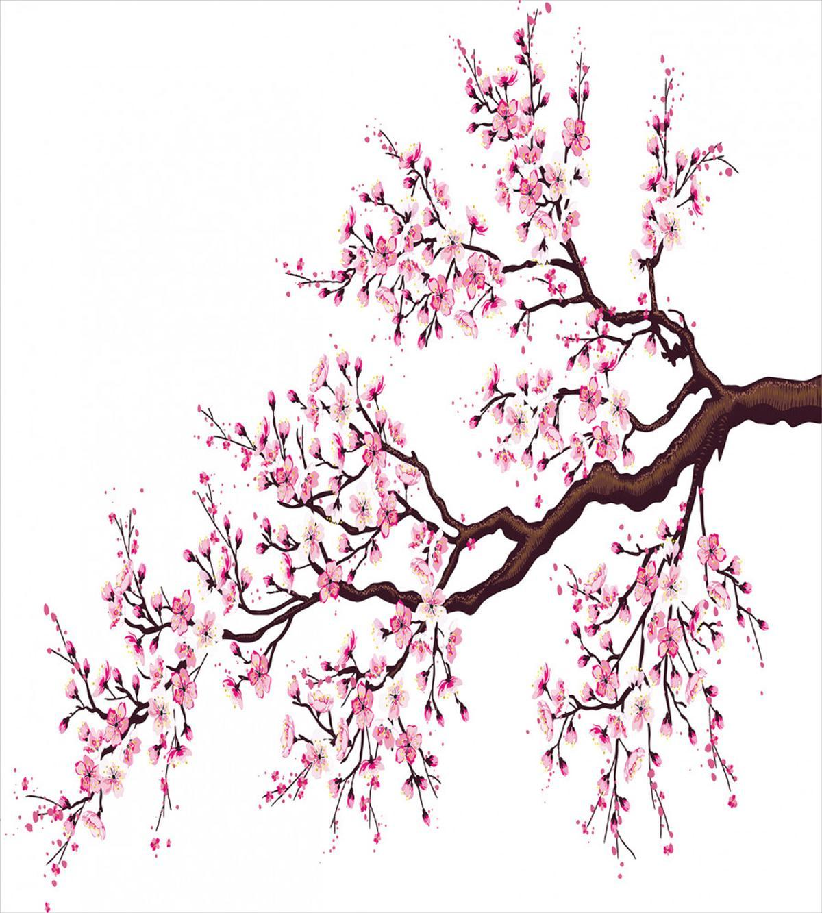 Sakura Branch Blossoms — Pattern