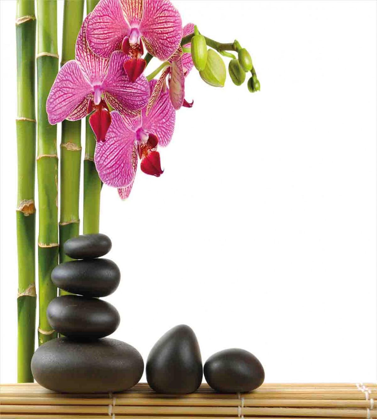Pink Orchid and Bamboos — Pattern