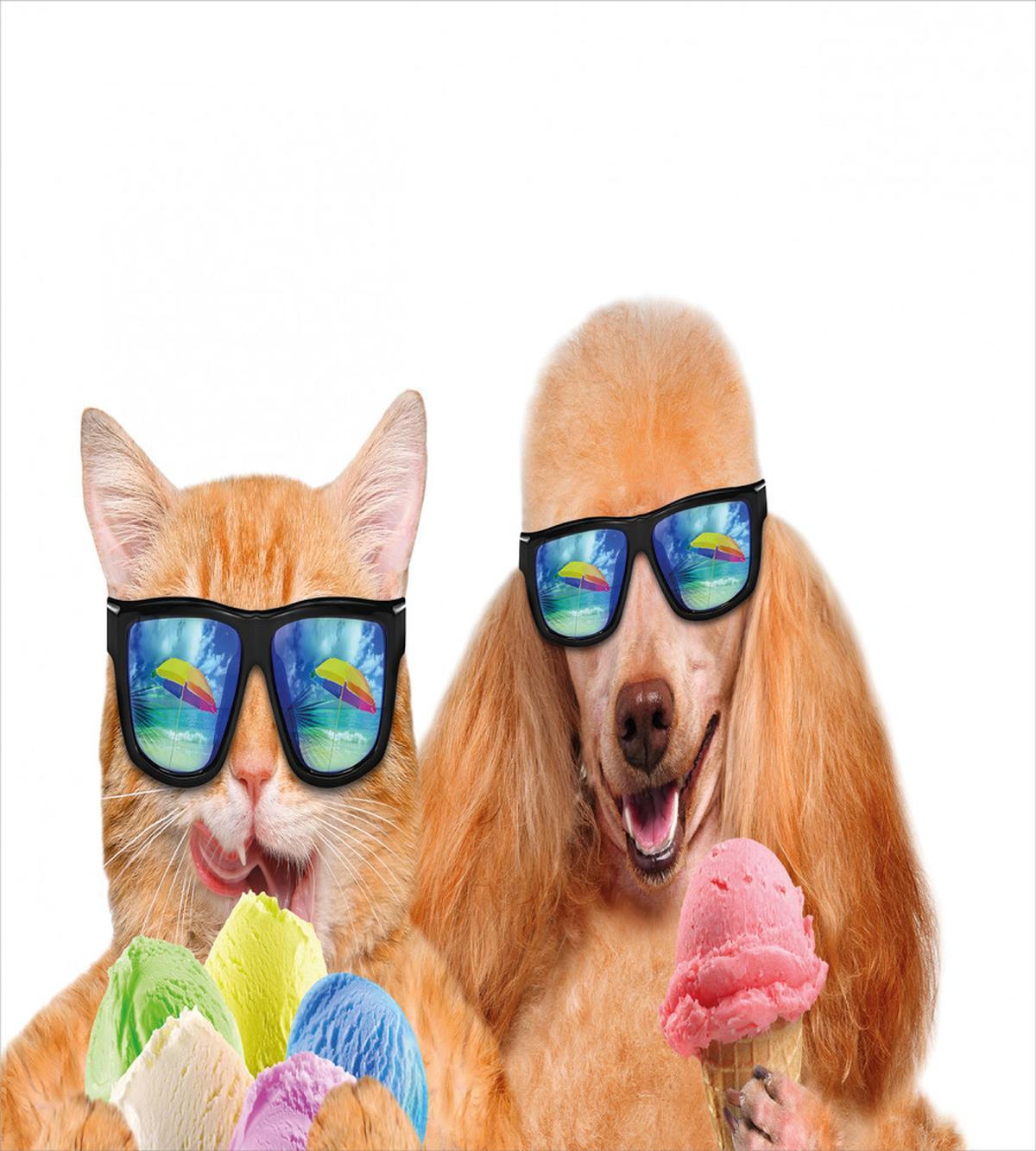 Cat Dog with Ice Cream — Pattern
