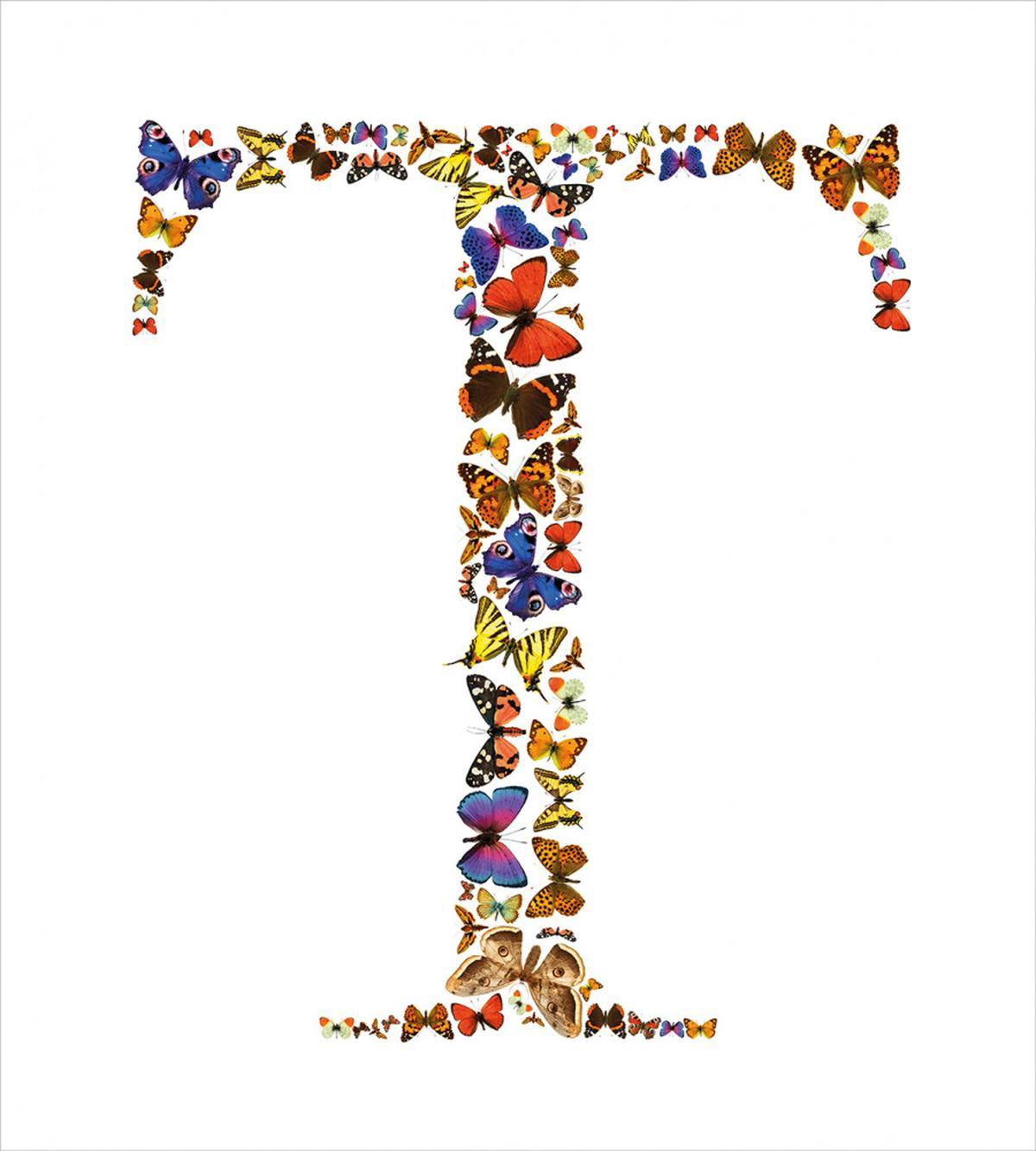 Animal Themed Alphabet — Pattern