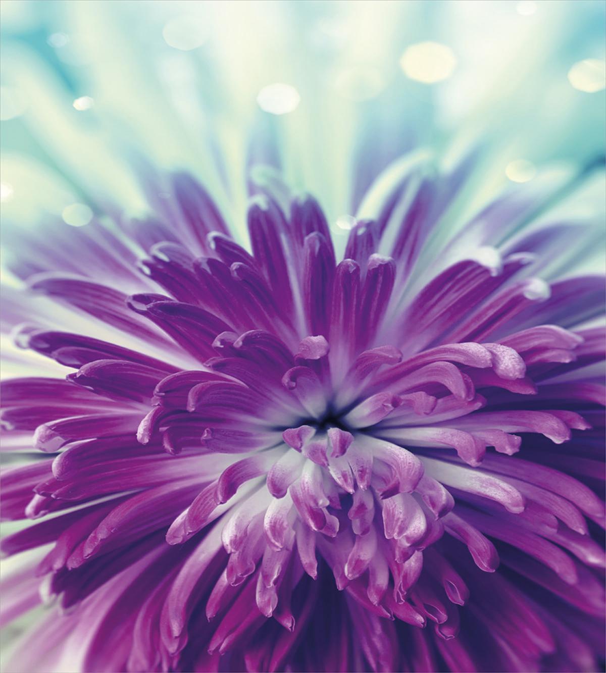Blooming Floral Motifs — Pattern