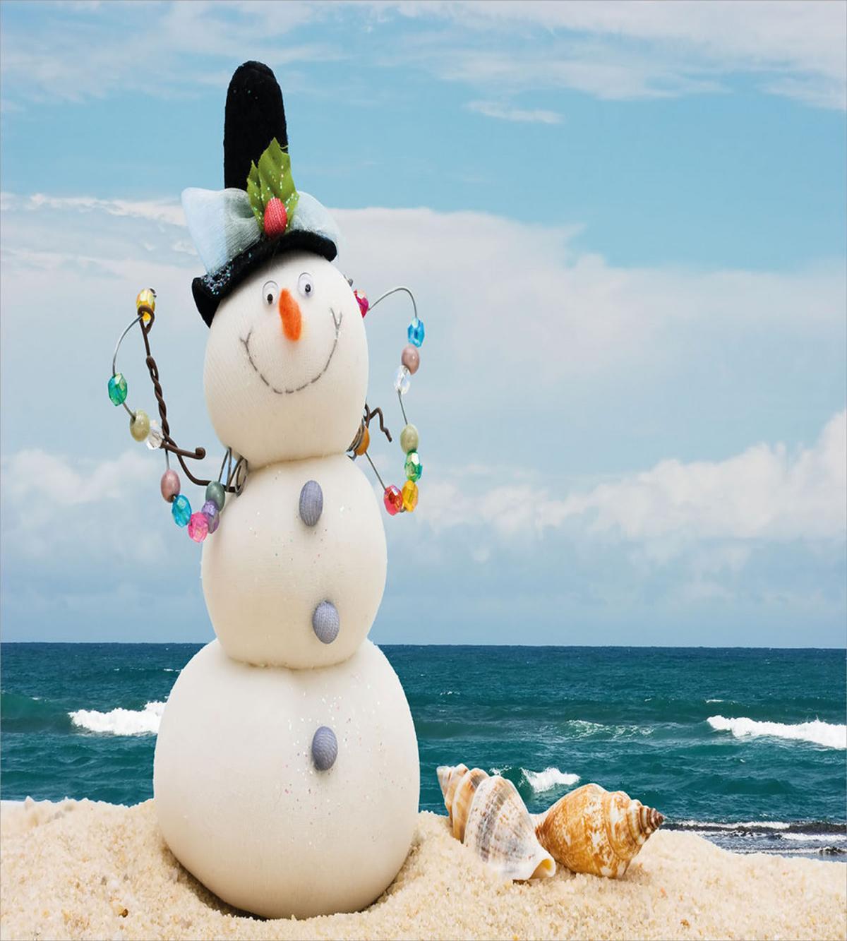 Winter Vacation Coastal — Pattern