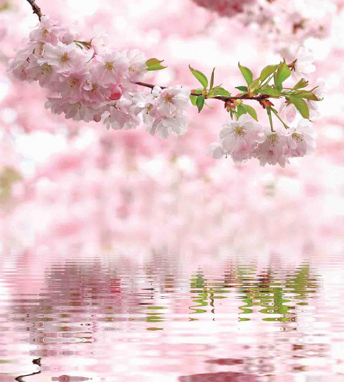 Tender Floral Branch Water — Pattern