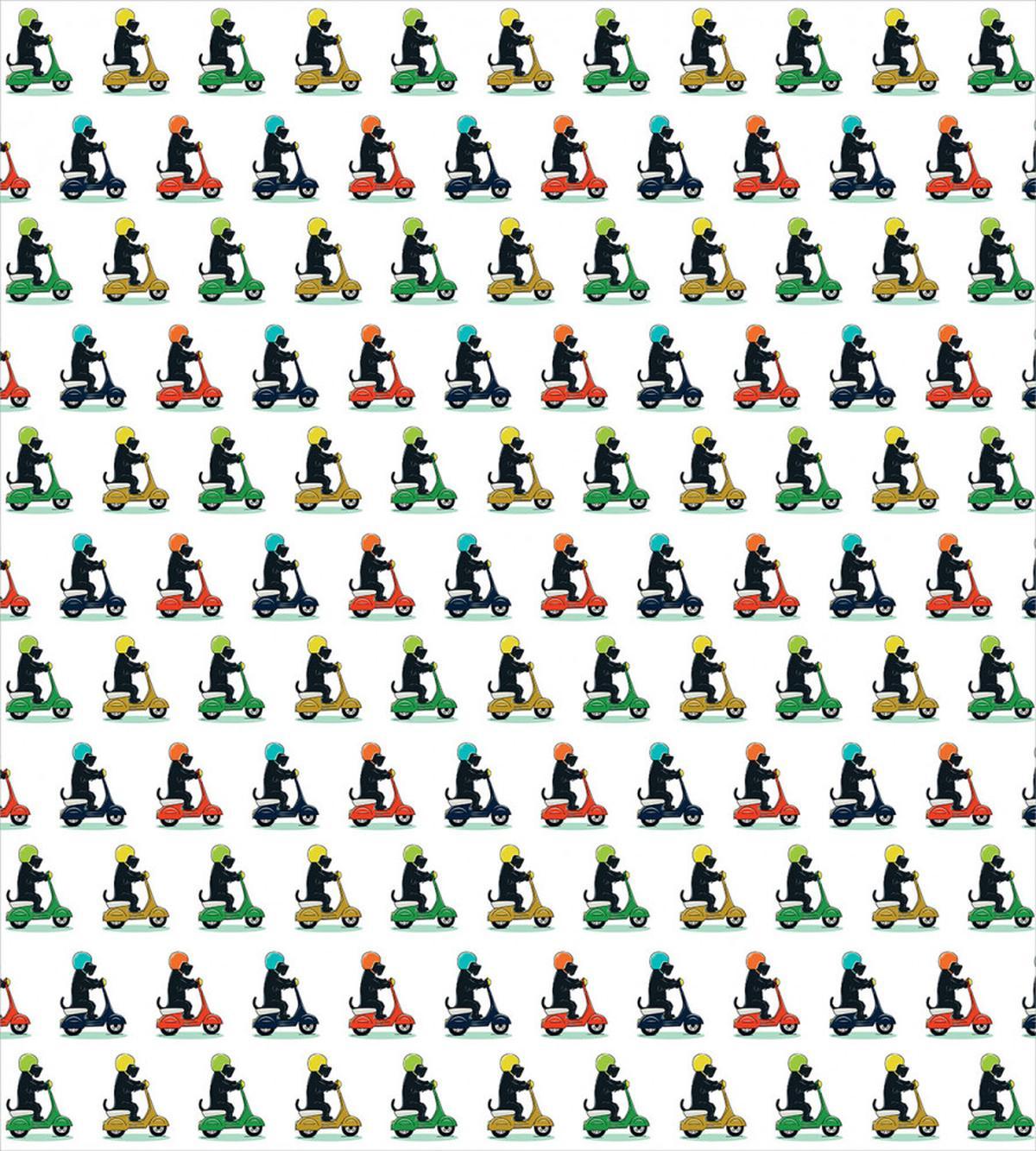 Funky Scottish Terriers — Pattern