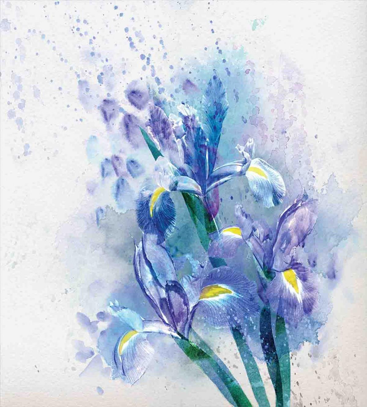Iris Fresh Colors — Pattern