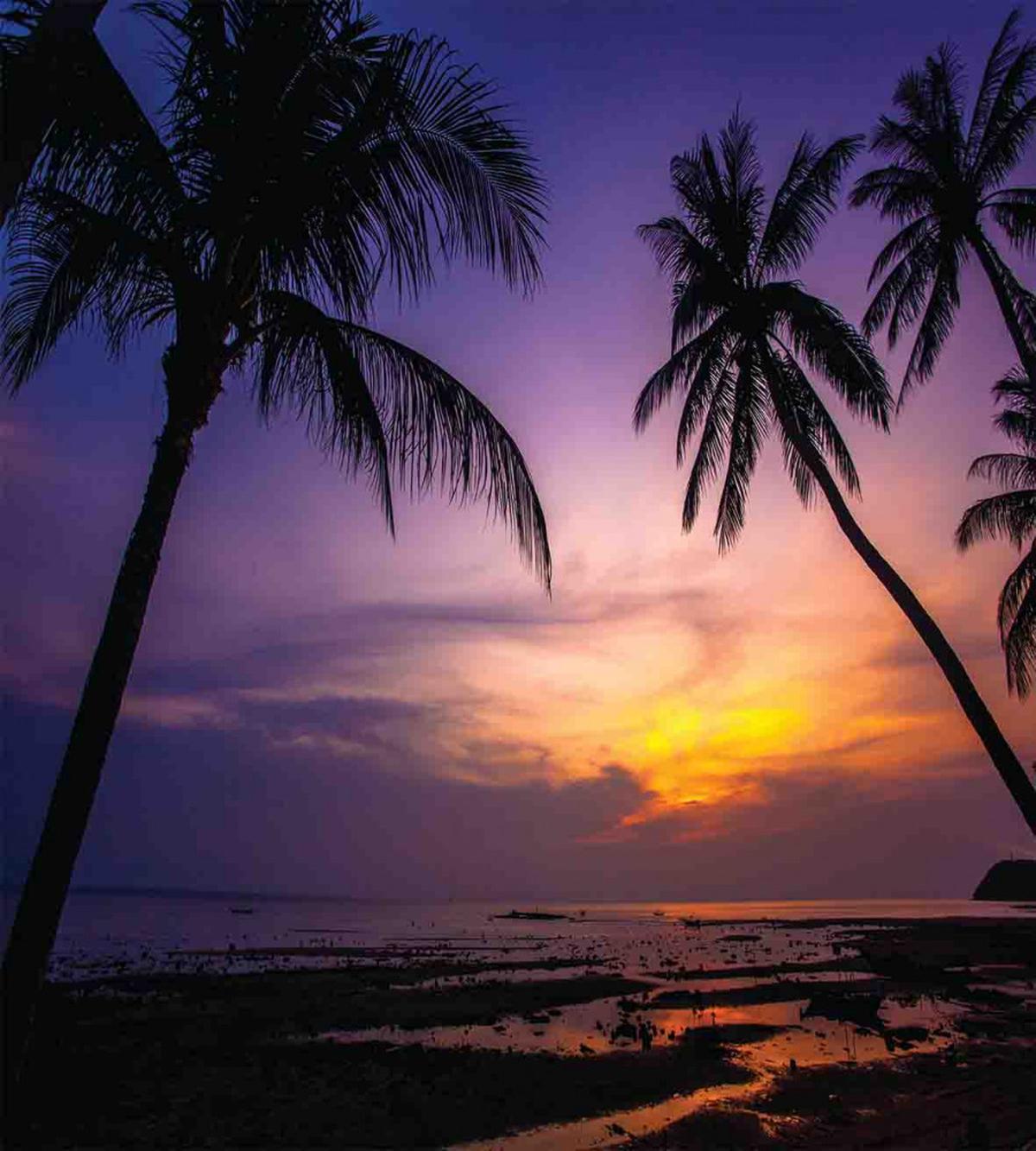 Vivid Twilight Palm Trees — Pattern