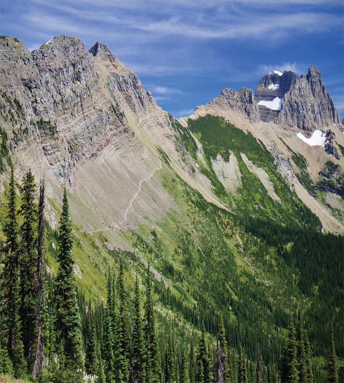 High Mountains and Forest — Pattern