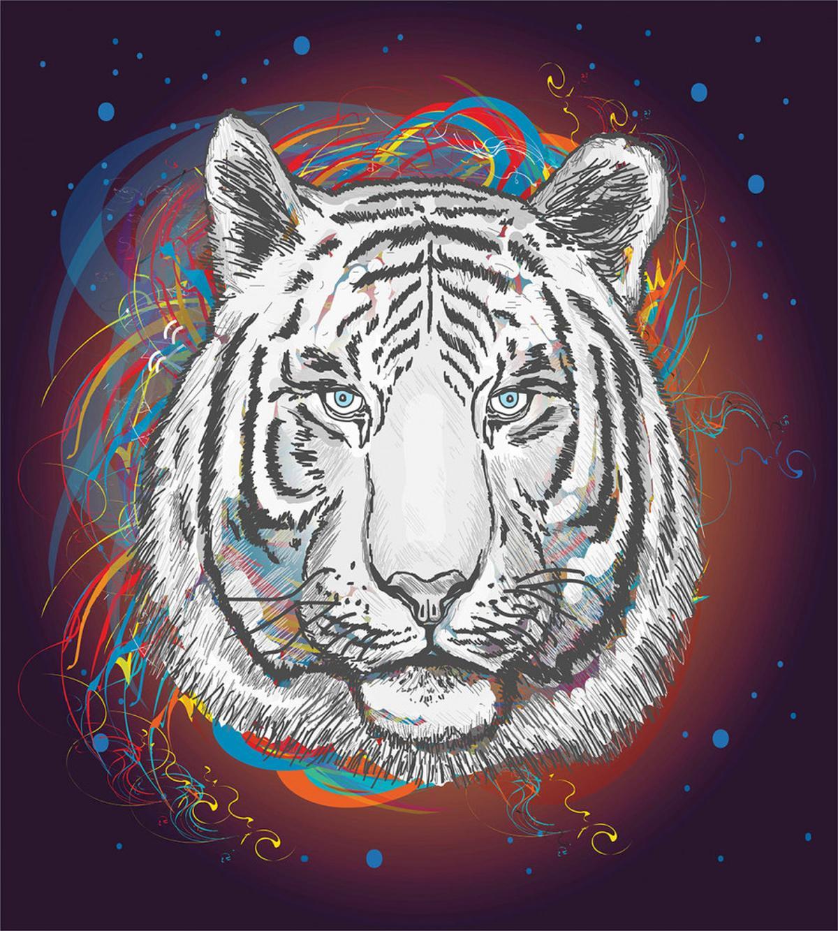 Tiger from Outer Space — Pattern