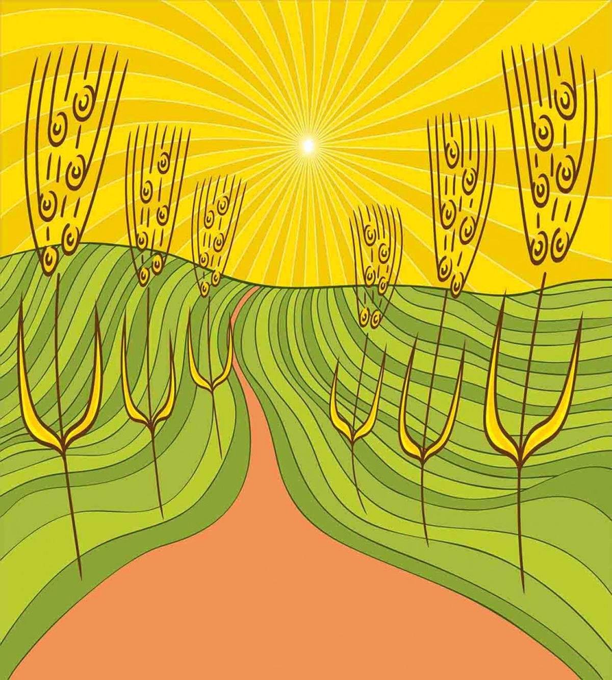 Farmland Agriculture — Pattern