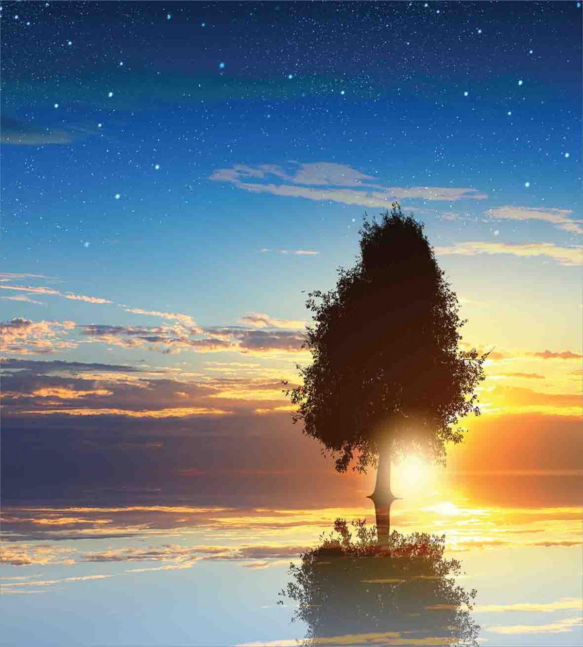 Tree Silhouette Farm — Pattern