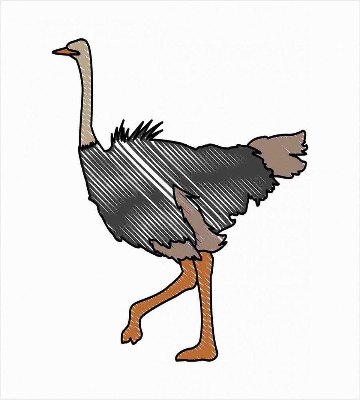 Striped Doodle Style Bird — Pattern