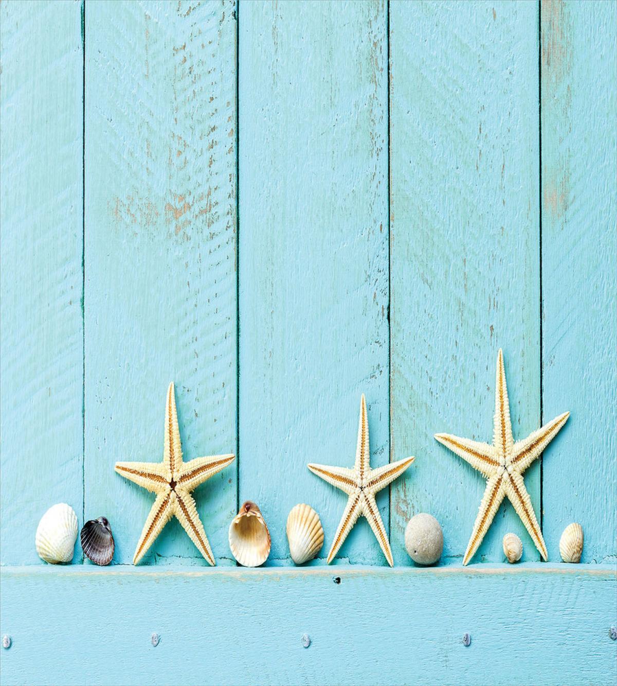 Nautical Stars Shell — Pattern