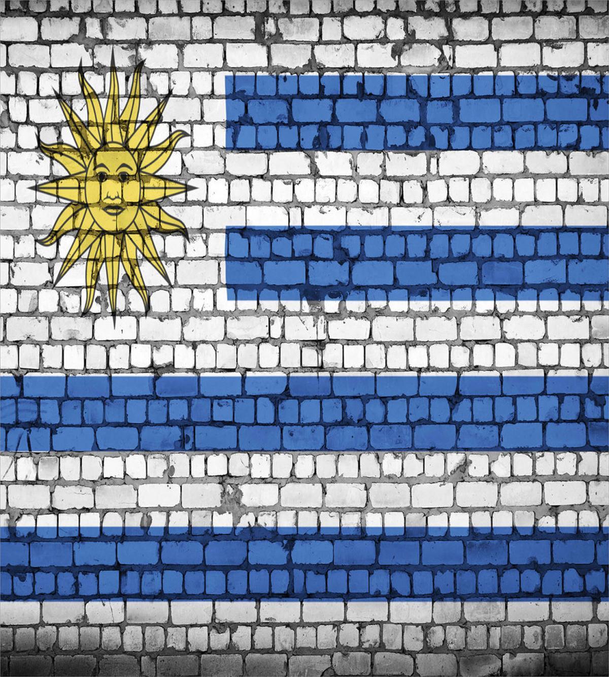 Flag Painted on Birck Wall — Pattern