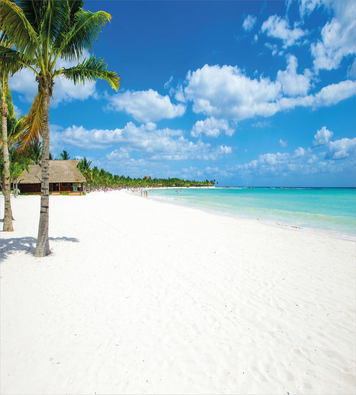 Tropical Island Seashore — Pattern