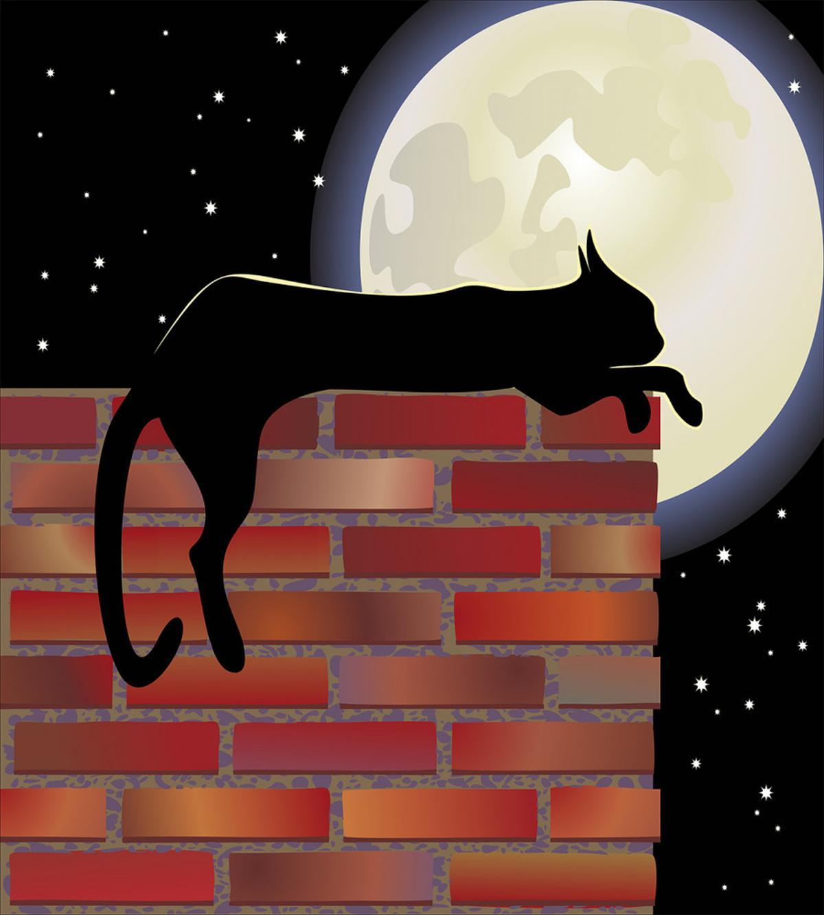 Sillhouette Cat Resting — Pattern