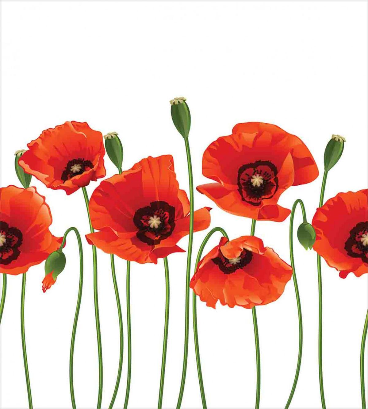 Pastoral Flowers Botany — Pattern