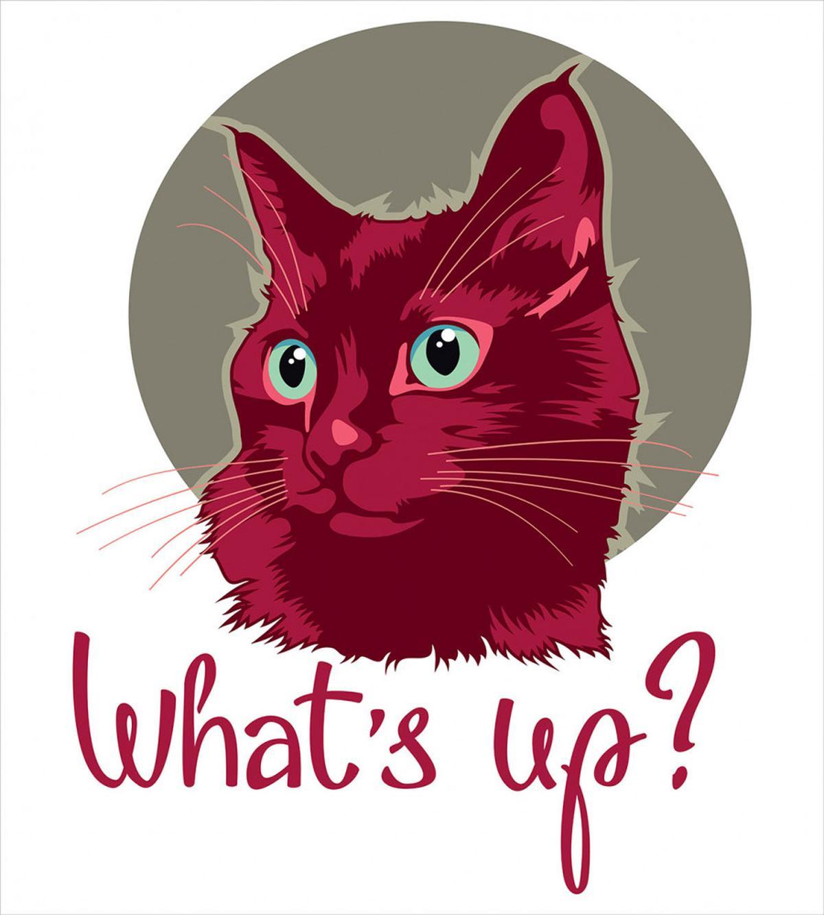 Love Words Cat Kitten — Pattern