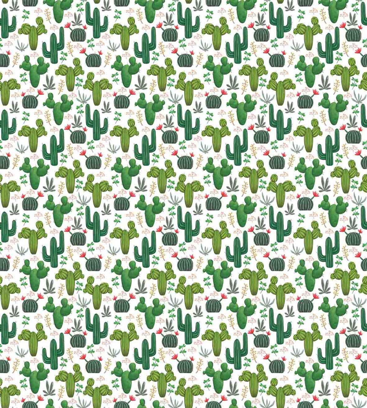 Exotic Succulent Plants — Pattern