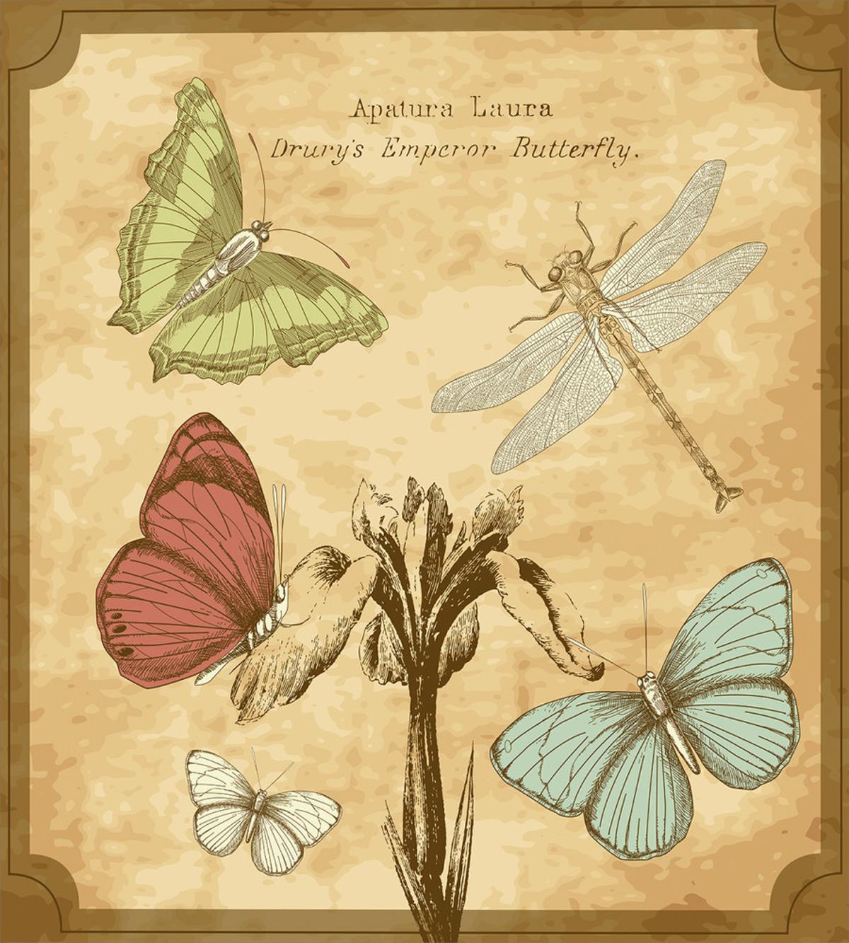 Retro Butterflies Art — Pattern