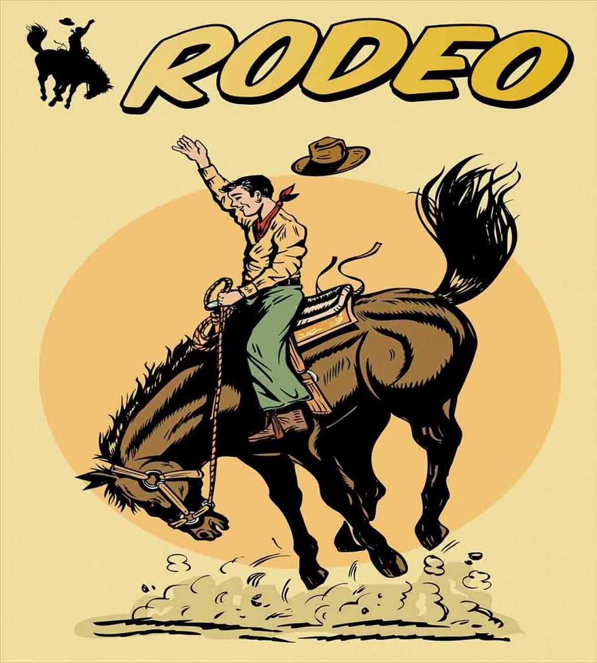 Wild Horse Rodeo Cowboy — Pattern