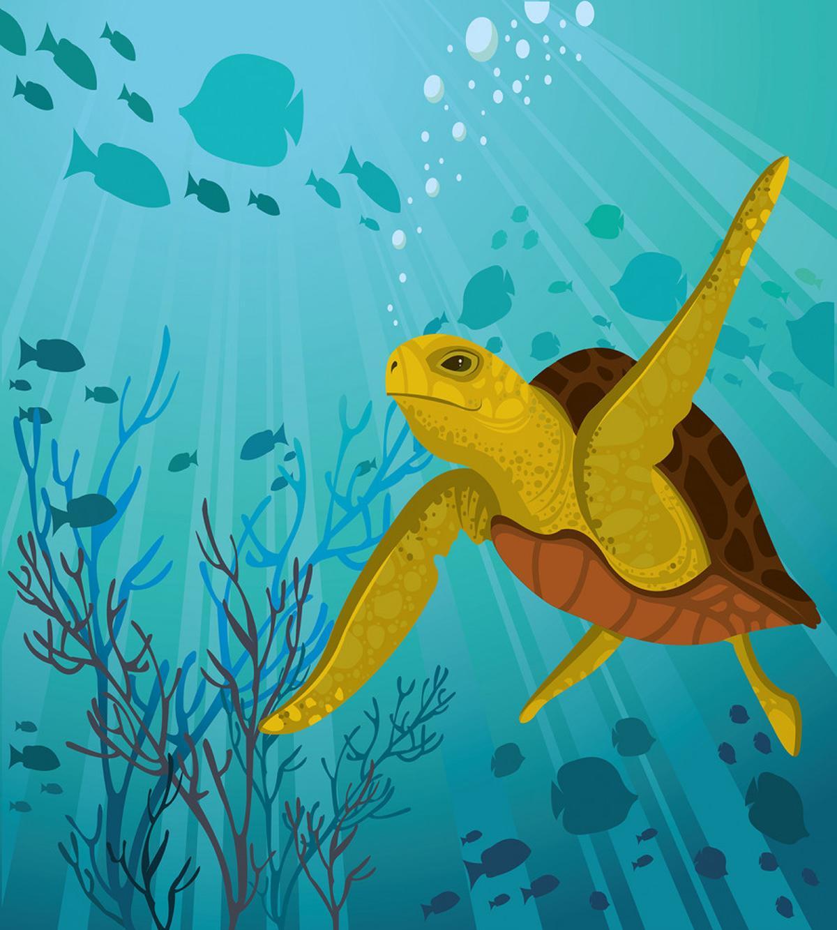 Cartoon Turtle Coral — Pattern